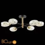 Люстра Evoluce Gloa SLE155502-06 - Фото 4