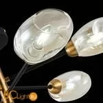 Люстра Evoluce Gloa SLE155502-06 - Фото 5