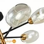 Люстра Evoluce Gloa SLE155502-06 - Фото 1