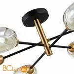 Люстра Evoluce Gloa SLE155502-06 - Фото 2