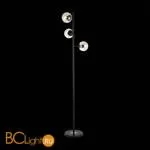 Торшер Evoluce Lacotta SLE154905-03 - Фото 1