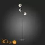 Торшер Evoluce Lacotta SLE154905-03 - Фото 3