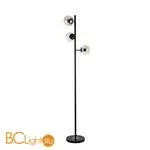 Торшер Evoluce Lacotta SLE154905-03 - Фото 0