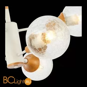 Люстра Evoluce Lione SLE109502-06 - Фото 4