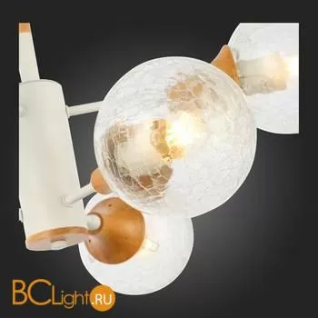 Люстра Evoluce Lione SLE109502-06 - Фото 7