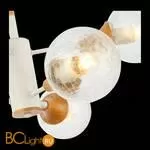 Люстра Evoluce Lione SLE109502-06 - Фото 4