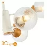 Люстра Evoluce Lione SLE109502-06 - Фото 2