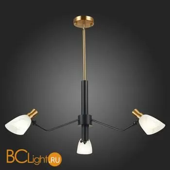 Люстра Evoluce Lita SLE205403-03 - Фото 3