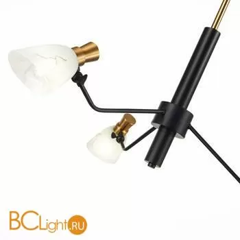 Люстра Evoluce Lita SLE205403-03 - Фото 1