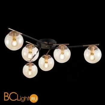 Люстра Evoluce Literno SLE106902-06 - Фото 4