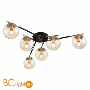 Люстра Evoluce Literno SLE106902-06 - Фото 2