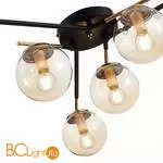 Люстра Evoluce Literno SLE106902-06 - Фото 3