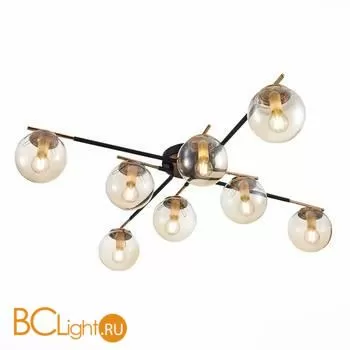 Люстра Evoluce Literno SLE106902-08 - Фото 2