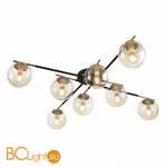 Люстра Evoluce Literno SLE106902-08 - Фото 2