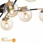 Люстра Evoluce Literno SLE106902-08 - Фото 3