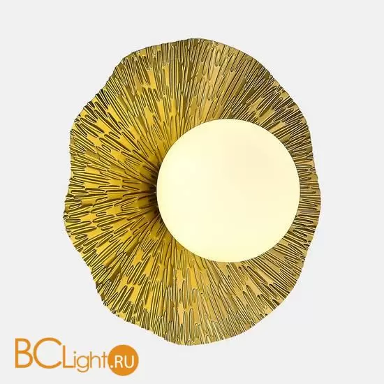 Настенный светильник Evoluce LOREA SLE1196-301-01