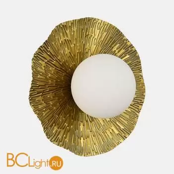 Настенный светильник Evoluce LOREA SLE1196-301-01 - Фото 1