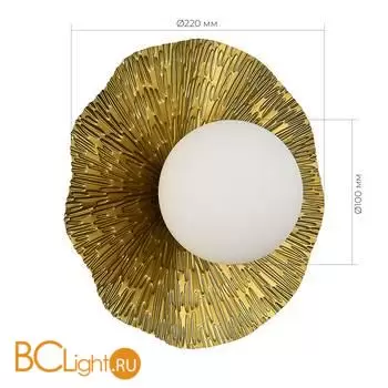 Настенный светильник Evoluce LOREA SLE1196-301-01 - Фото 5