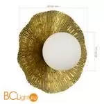 Настенный светильник Evoluce LOREA SLE1196-301-01 - Фото 5