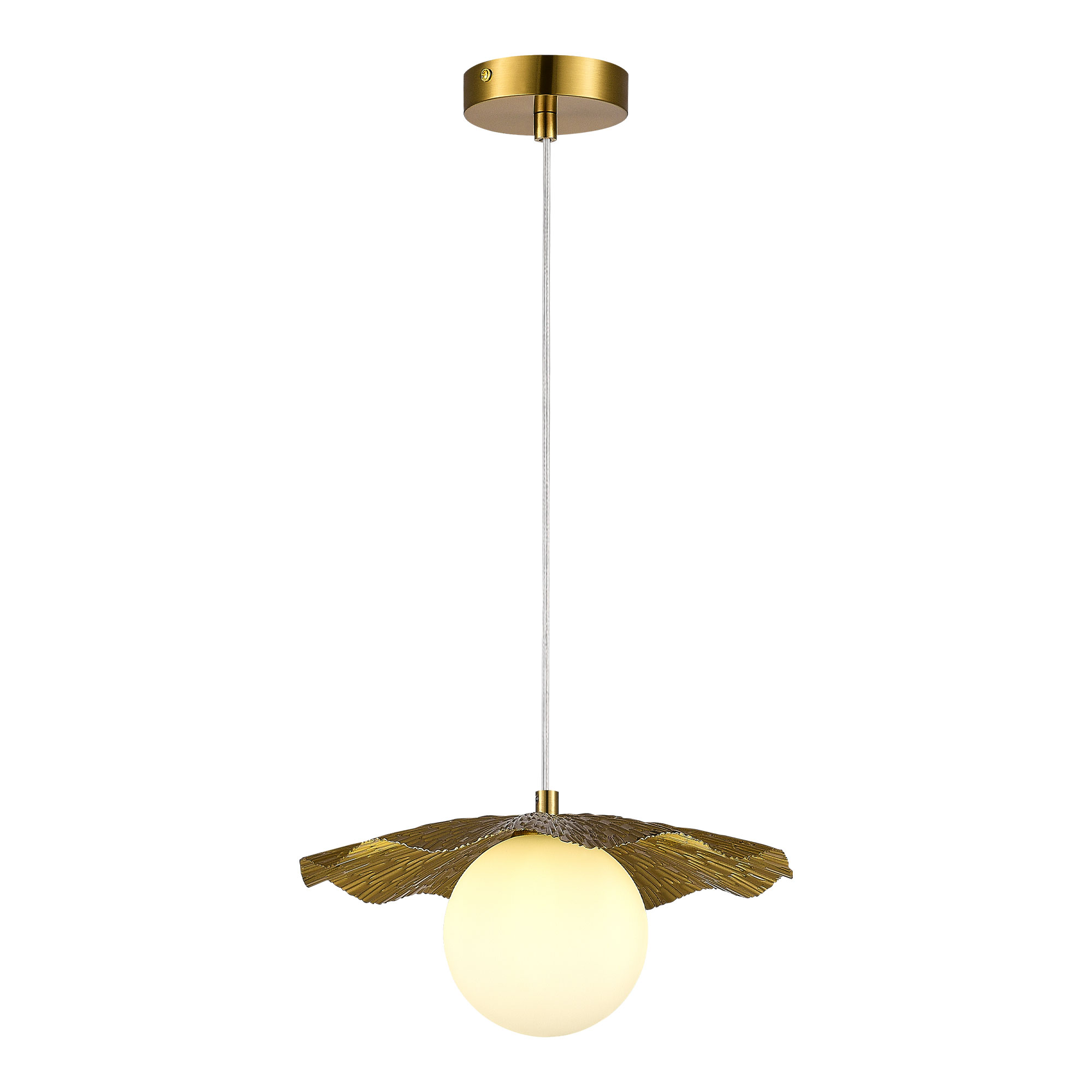 Evoluce LOREA Evoluce LOREA