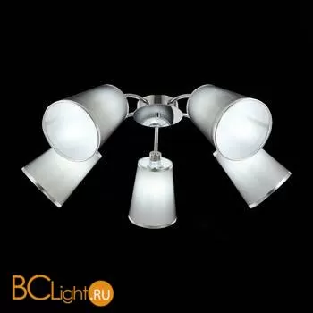 Люстра Evoluce Maleonte SLE103002-05 - Фото 2