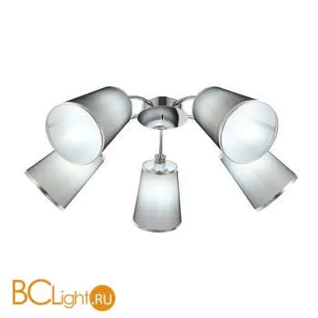 Люстра Evoluce Maleonte SLE103002-05 - Фото 0