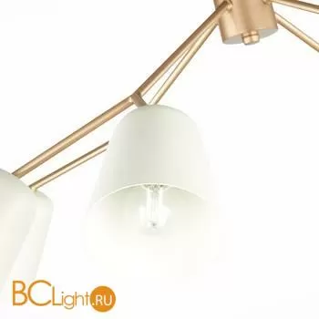 Люстра Evoluce Mario SLE155902-08 - Фото 4