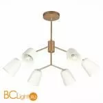 Люстра Evoluce Mario SLE155902-06