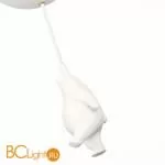 Потолочный светильник Evoluce Modena SLE115422-01 - Фото 2