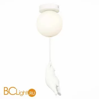 Потолочный светильник Evoluce Modena SLE115402-01 - Фото 0