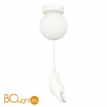 Потолочный светильник Evoluce Modena SLE115402-01 - Фото 1