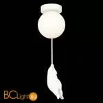 Потолочный светильник Evoluce Modena SLE115402-01 - Фото 2