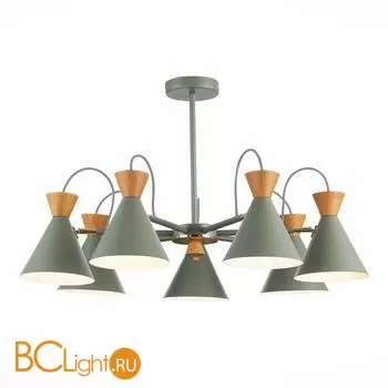 Люстра Evoluce Modica SLE125112-07