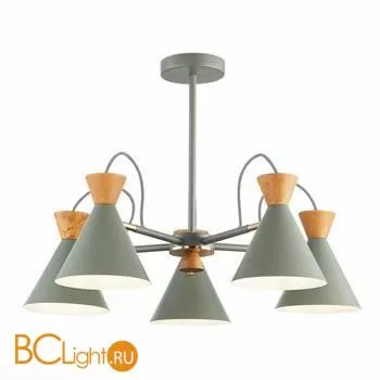 Люстра Evoluce Modica SLE125112-05