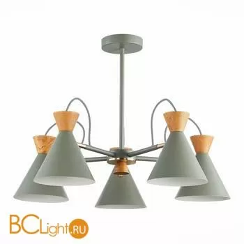 Люстра Evoluce Modica SLE125112-05 - Фото 0