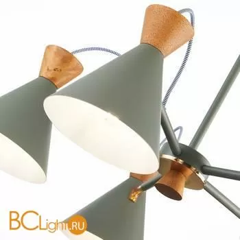 Люстра Evoluce Modica SLE125112-05 - Фото 1