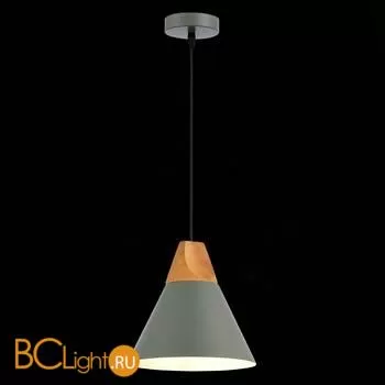 Подвесной светильник Evoluce Modica SLE125113-01 - Фото 2