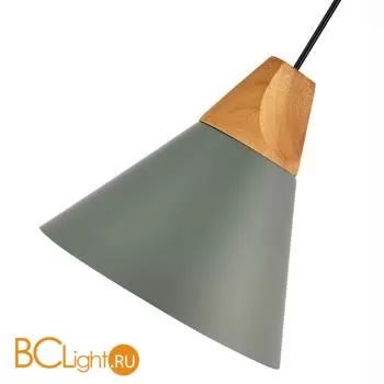 Подвесной светильник Evoluce Modica SLE125113-01 - Фото 1