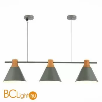 Подвесной светильник Evoluce Modica SLE125113-03