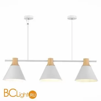 Подвесной светильник Evoluce Modica SLE125103-03