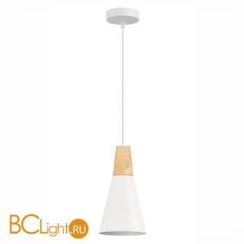 Подвесной светильник Evoluce Modica SLE125153-01 - Фото 0