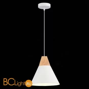 Подвесной светильник Evoluce Modica SLE125103-01 - Фото 2