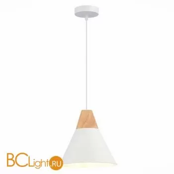 Подвесной светильник Evoluce Modica SLE125103-01