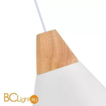 Подвесной светильник Evoluce Modica SLE125103-01 - Фото 1