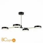 Люстра Evoluce Monta SLE6004-402-04