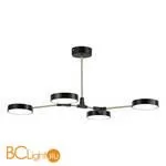 Люстра Evoluce Monta SLE6004-402-04 - Фото 1