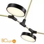 Люстра Evoluce Monta SLE6004-402-04 - Фото 3