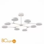 Люстра Evoluce Monta SLE6003-502-08 - Фото 2