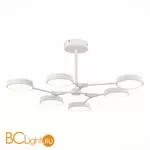 Люстра Evoluce Monta SLE6003-502-06