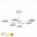 Люстра Evoluce Monta SLE6003-502-06 - Фото 2